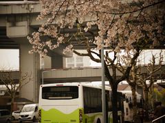 -上海南浦大桥长途旅游客运站