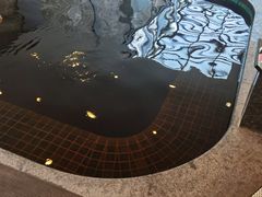 -和园景逸大酒店朗月汤泉