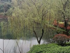 -桃花岭景区