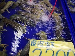 -芭提雅海鲜市场
