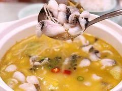 -蜀腾川·火锅鱼.烤鱼(新世界城店)