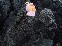 -东海半边山旅游度假区