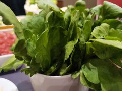 -东来顺铜锅炭火涮肉(上地华联店)