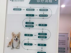 -瑞派康怡24h宠物医院·犬猫医疗中心·微创绝育(瑞景分院)