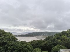 -舟山希尔顿酒店·開自助餐厅