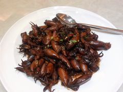 红烧小鱿鱼-天宁凯利时尚餐厅