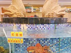 -寻味顺德·顺峰山庄(大良店)