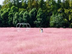 -嘉北郊野公园