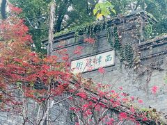 -镇江博物馆