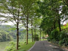 -罗浮山-南楼寺