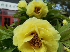 -国家植物园南园