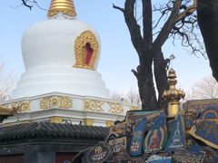 -护国法轮寺