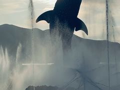 -珠海长隆海洋王国