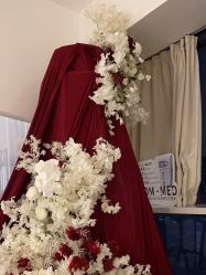 -ST时柒·问题肌抗衰美颜所