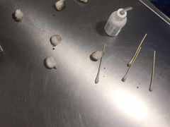 -瑞鹏宠物医院·眼科·皮肤·中兽医(大悦城分院)