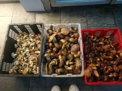 -四海烤鸭城
