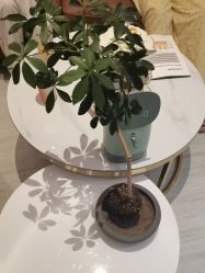 -丽都整形美容医院·全国连锁旗舰店