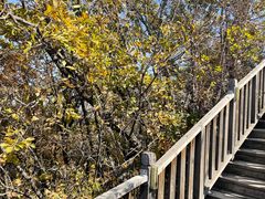 -帽儿山国家森林公园