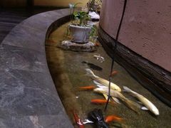 -金水养生(华新店)