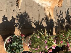 -浔岚云舍mist静谧观景美宿(丽江古城店)