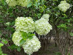 -宜兴龙背山森林公园