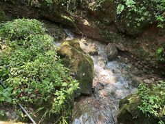 -青城山