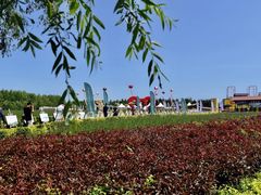 -北纬44度·金珠花海休闲农业旅游景区