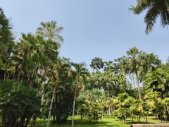 -中国科学院西双版纳热带植物园