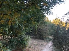-南翠屏公园