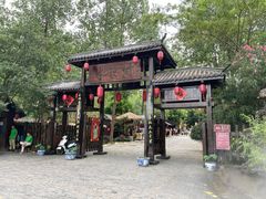 -合肥滨湖国家森林公园