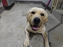 -蓝鲸湾汤泉(包河店)