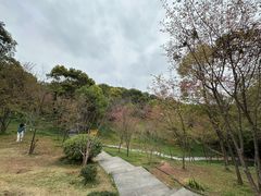 -福道