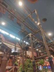 -卡通尼·Safari非洲探索乐园·生日会(金桥国际商业广场店)