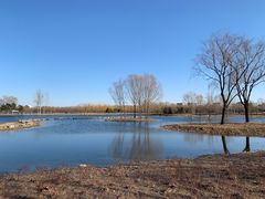 -大兴滨河森林公园