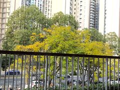 -港久茶餐厅(鹭洲里店)