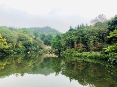 -云溪植物园