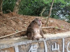 -峨眉山风景名胜区