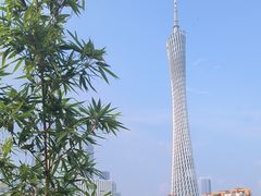 -小茶闲舍·观景商务茶馆(广州塔店)
