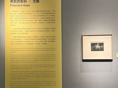 -中国版画博物馆