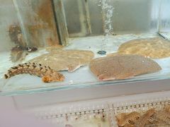 -山海经·海边人家 海鲜新青岛菜(扬州路店)