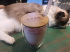 -喵喵咪呀布偶猫咖(春熙路店)