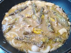 -小小河边鱼(天润城店)