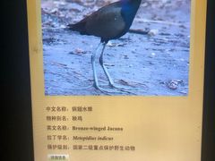 -中国湿地博物馆