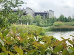-合肥融创永乐半山酒店·永乐半山西餐厅