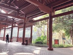 -重庆彩云湖湿地公园