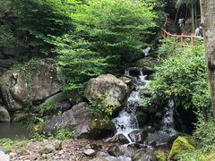 -藏龙百瀑风景区