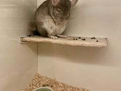 -龙猫仔乐园(惠福东路店)