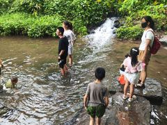 -重庆彩云湖湿地公园