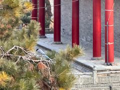 -北陵公园