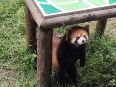 -宁波野生动物园